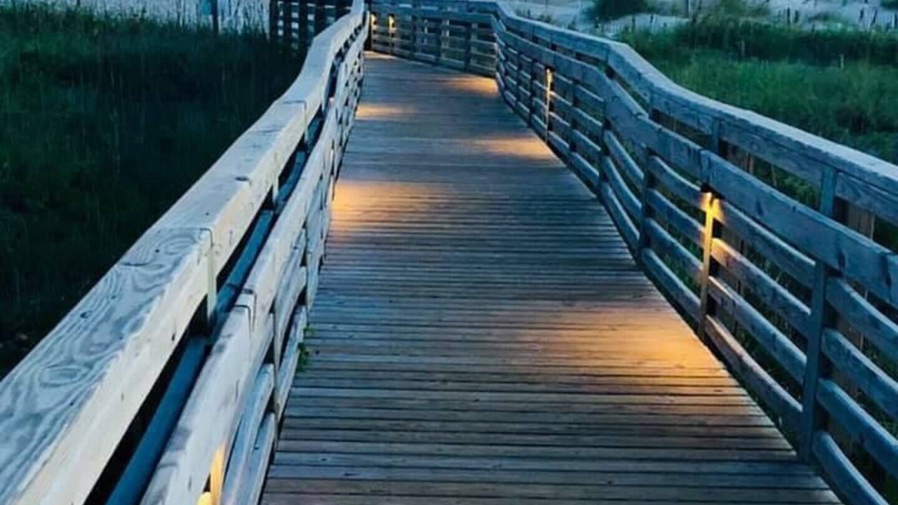 Photo of Others in Morehead City