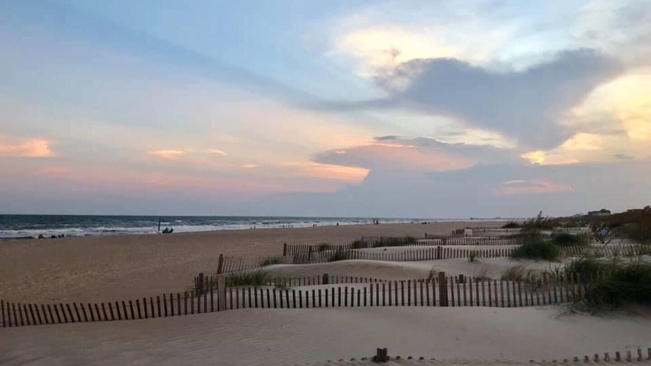 Photo of Others in Morehead City