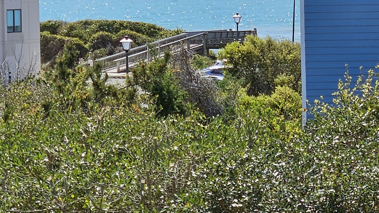 Photo of Others in Emerald Isle