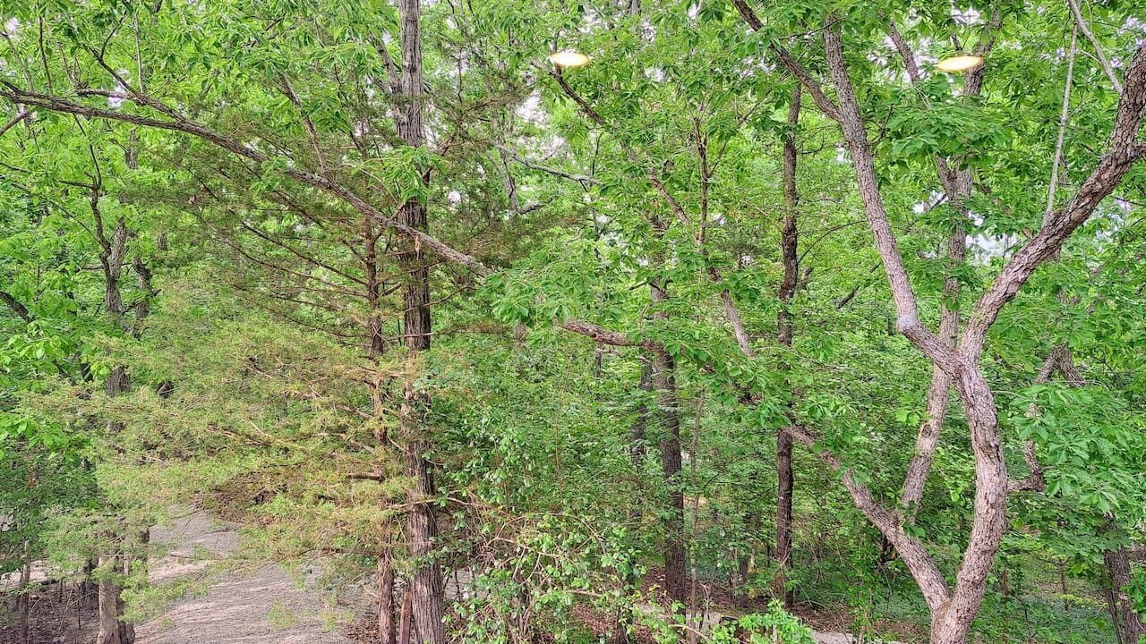 Photo of Bedroom in Indian Point