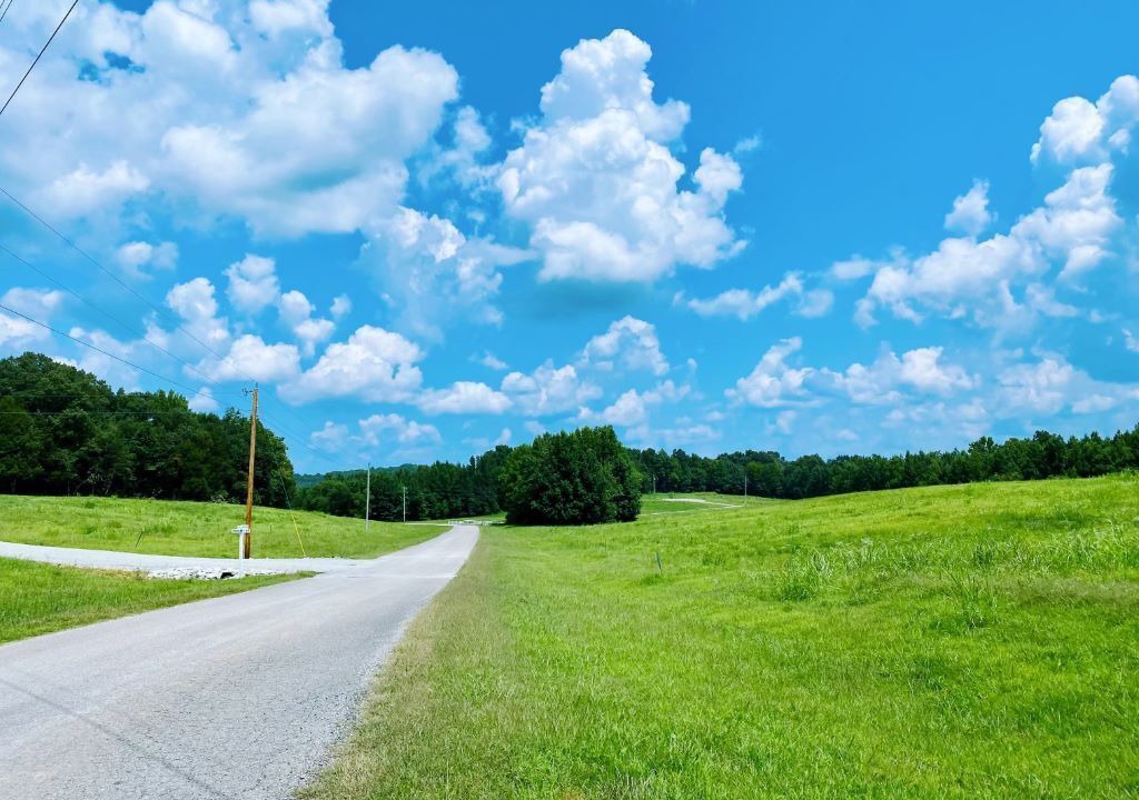 Photo of Others in Flatwoods
