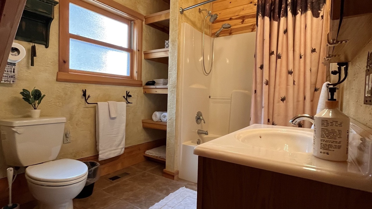 Photo of Bathroom in Shell Knob