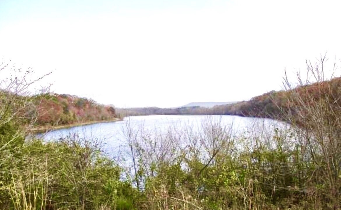 Photo of Others in Center Ridge