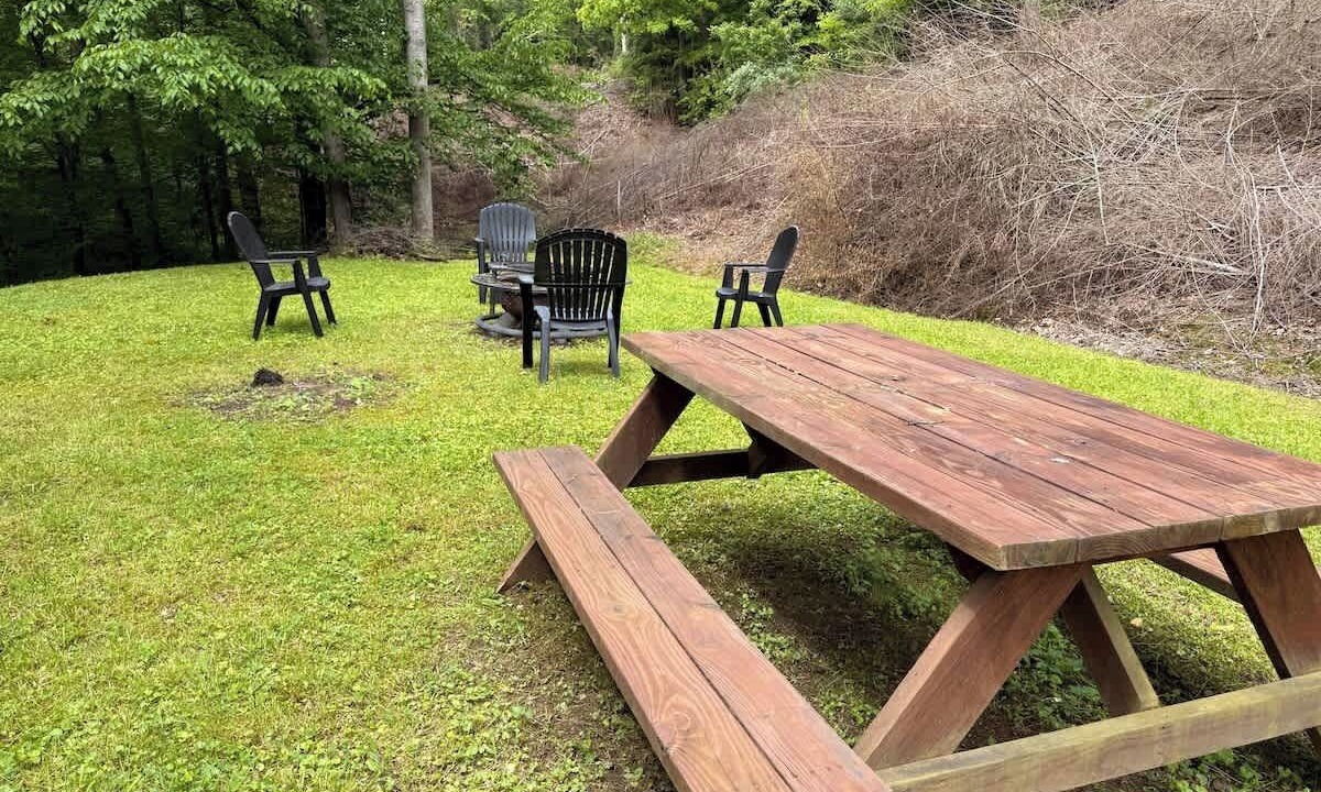Photo of Outdoor in Sassafras