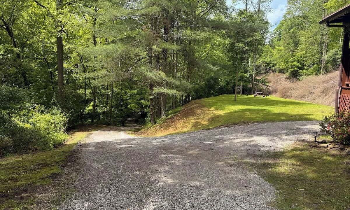 Photo of Outdoor in Sassafras