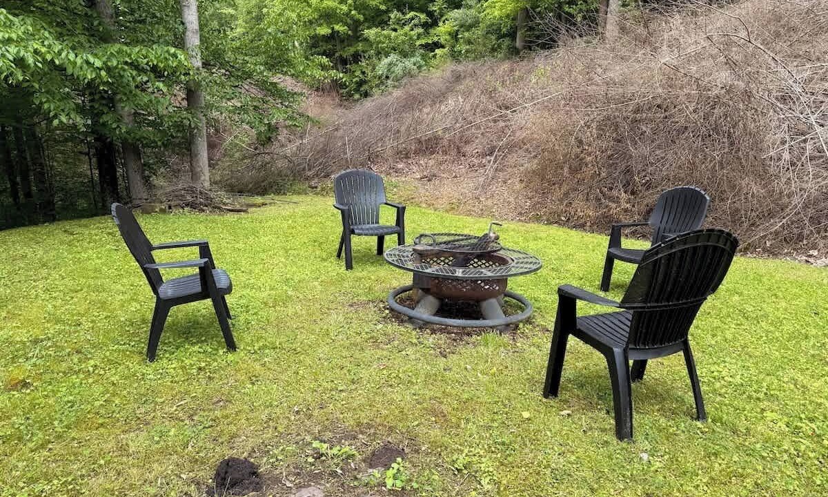 Photo of Outdoor in Sassafras