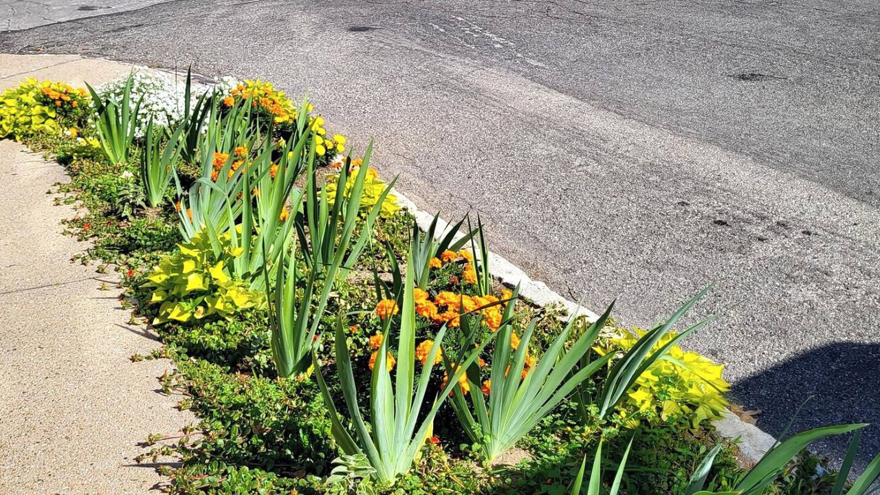 Photo of Outdoor in St. Joseph