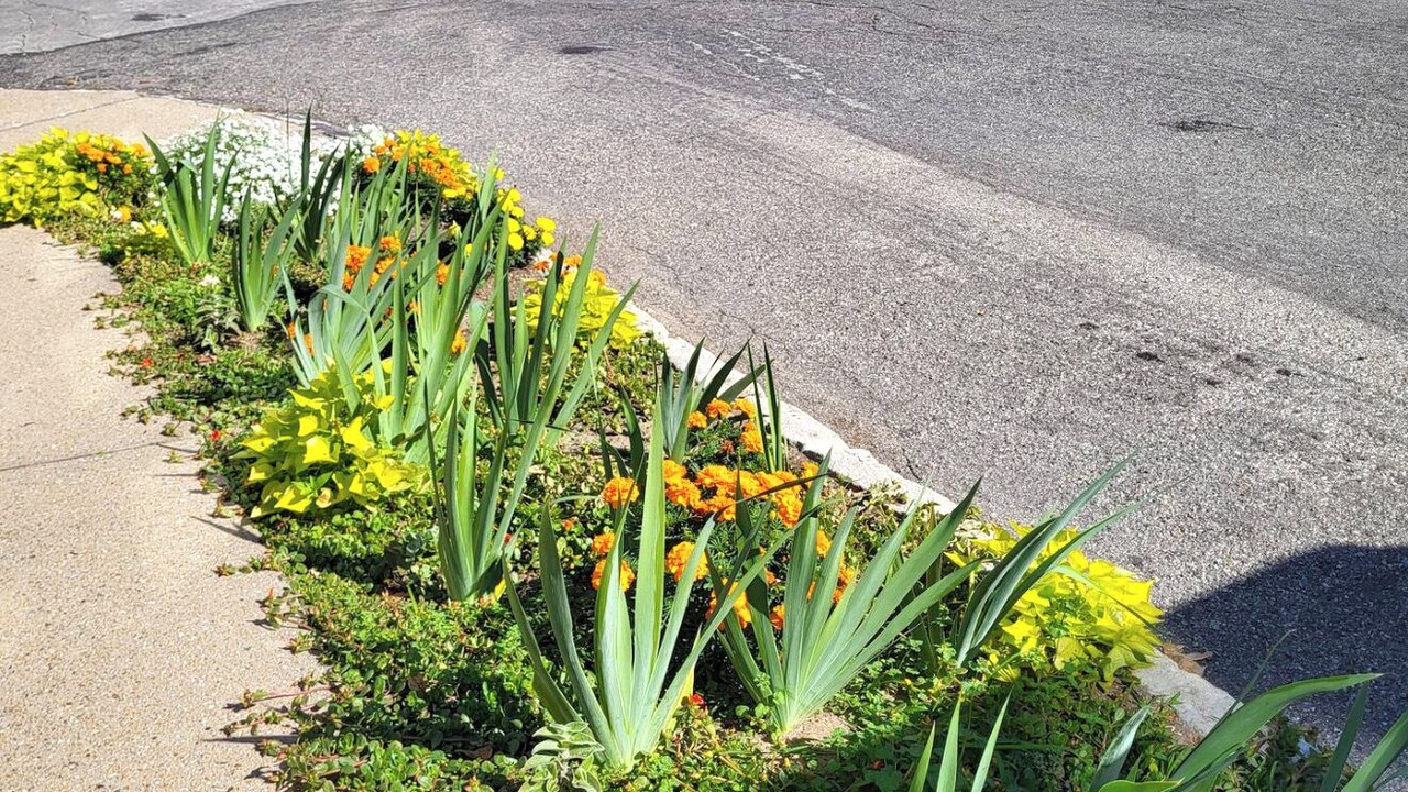 Photo of Outdoor in St. Joseph
