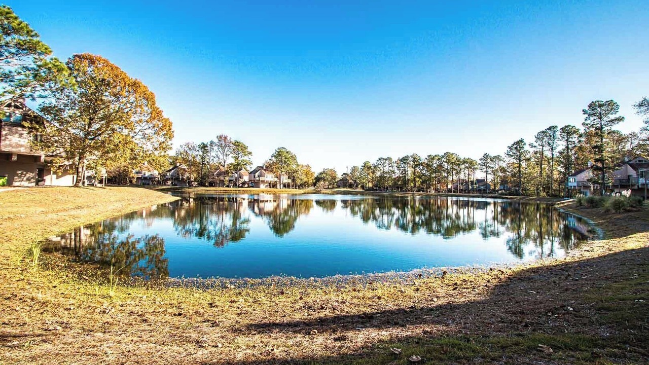 Photo of Others in New Bern