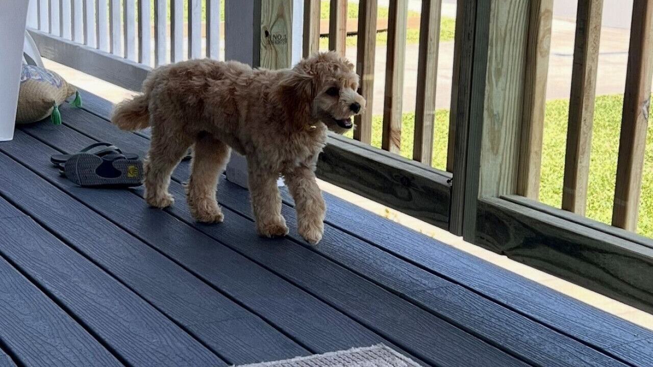Photo of Outdoor in Morehead City