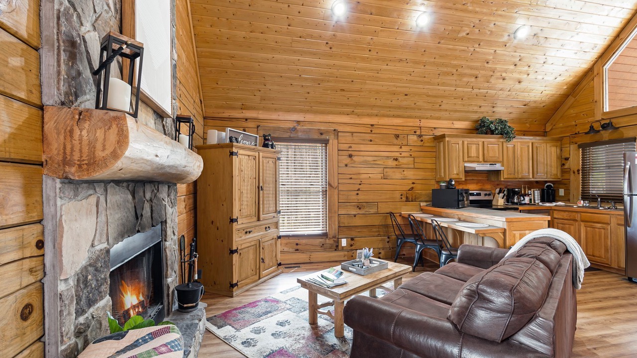 Photo of Livingroom in Wears Valley