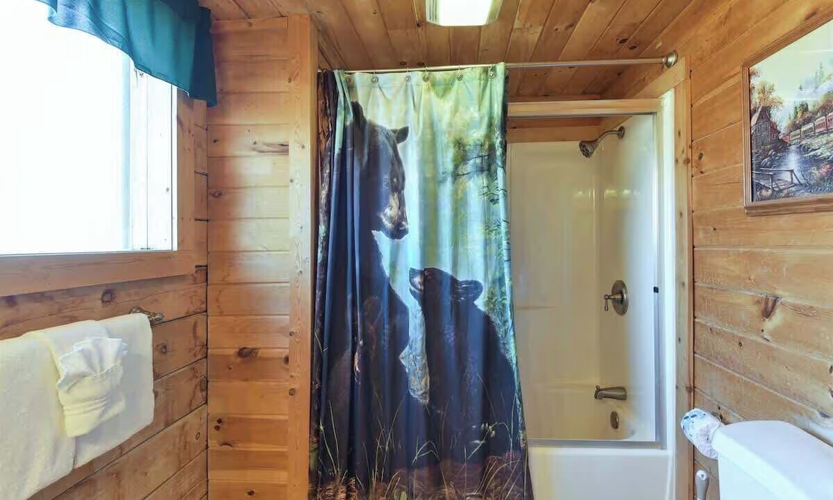Photo of Bathroom in Branson Cedars