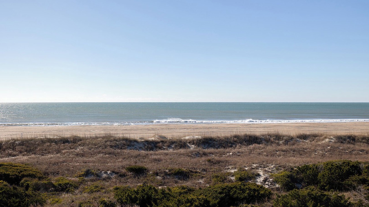 Photo of Others in Morehead City