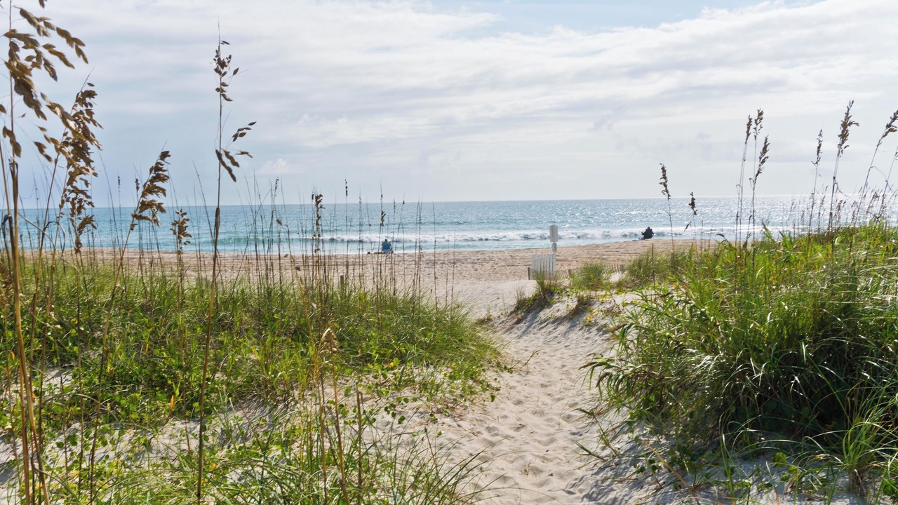 Photo of Others in Morehead City