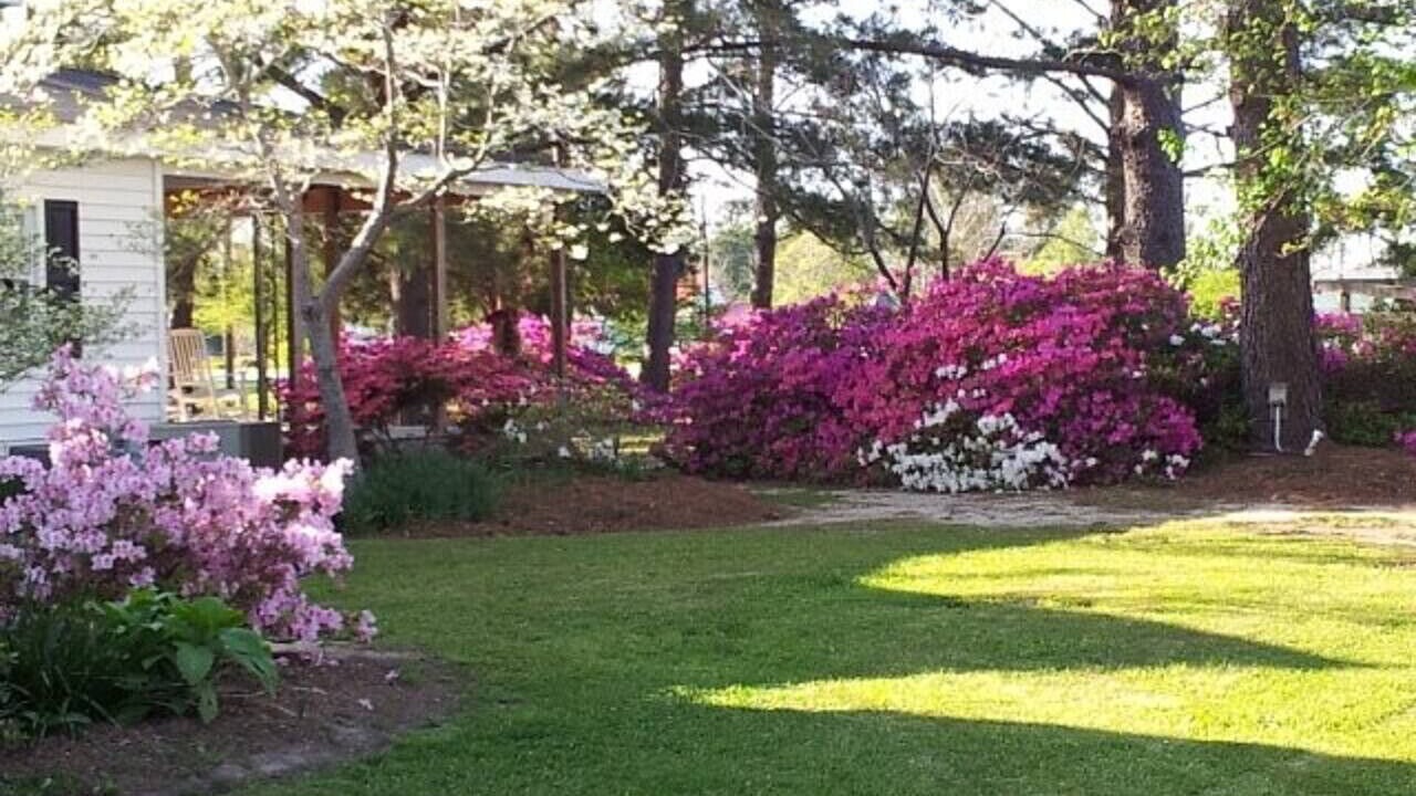 Photo of Outdoor in Hubert
