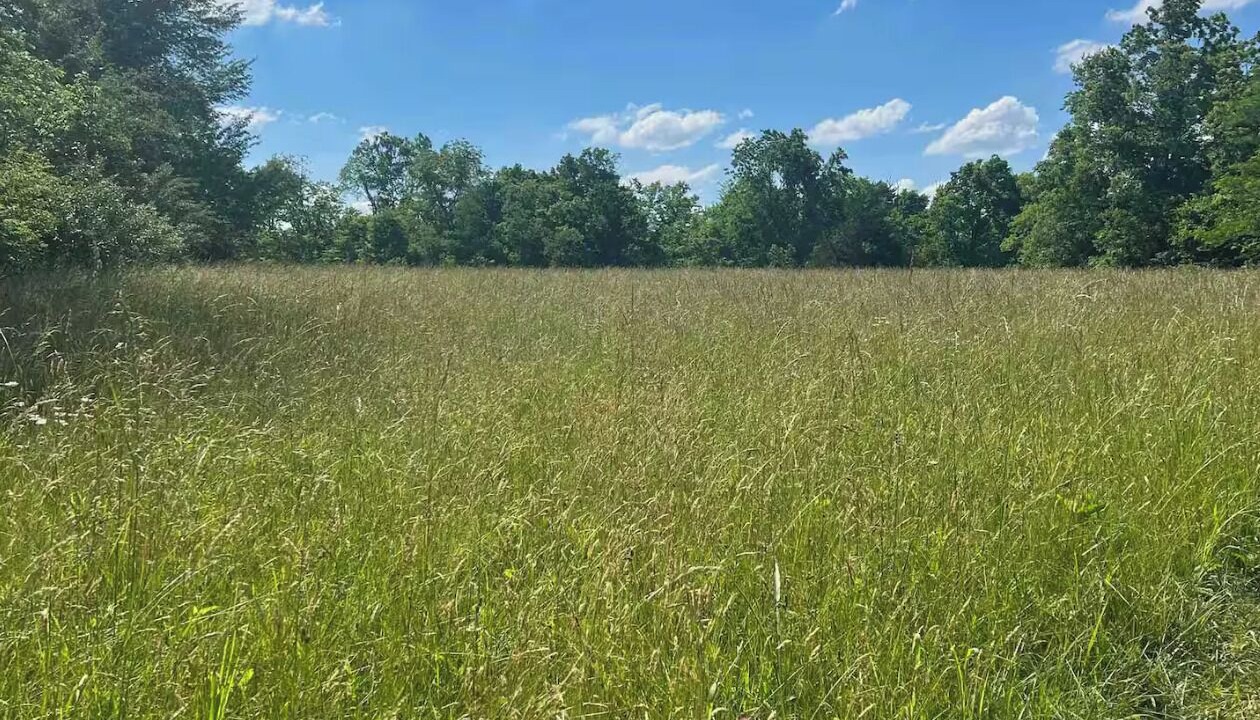 Photo of Others in Fisherville