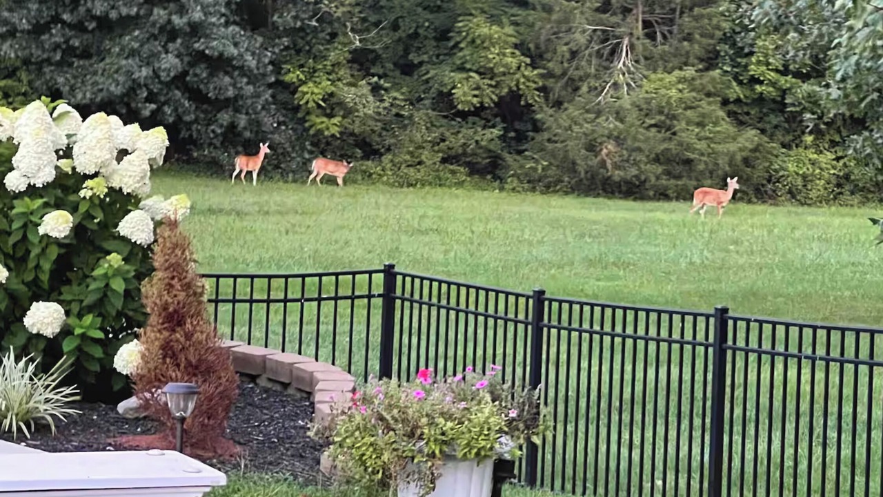 Photo of Outdoor in Fisherville