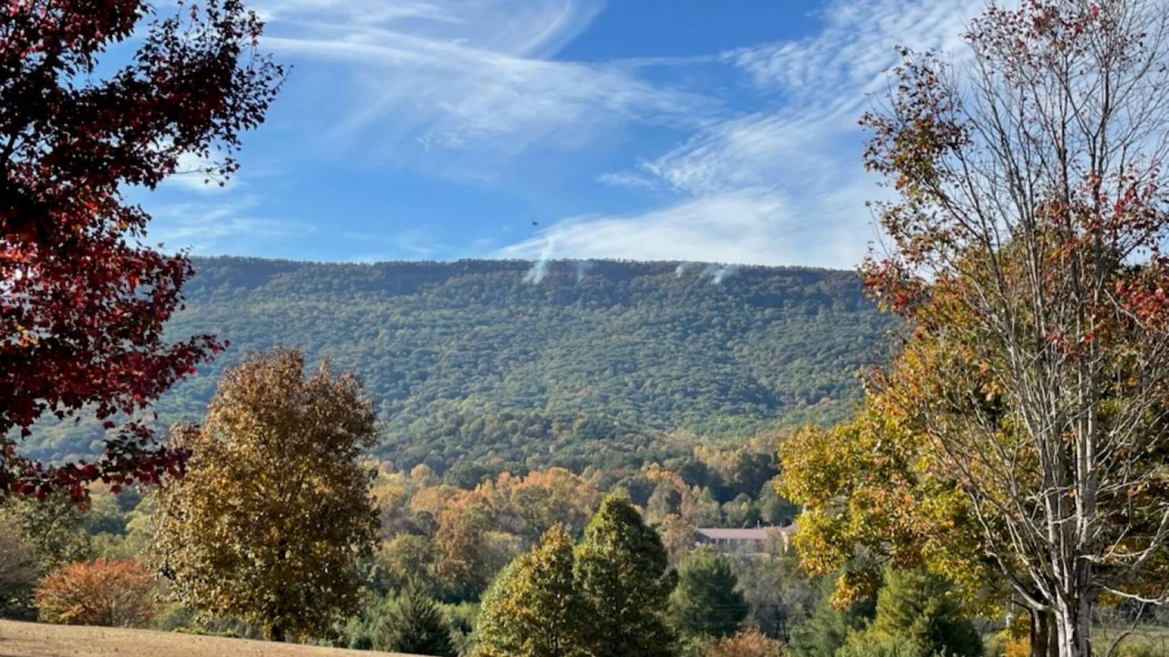 Photo of Others in Chickamauga