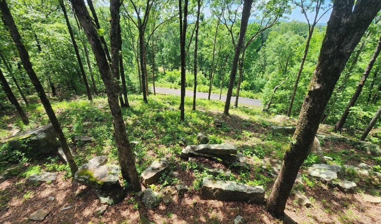 Photo of Others in Heber Springs