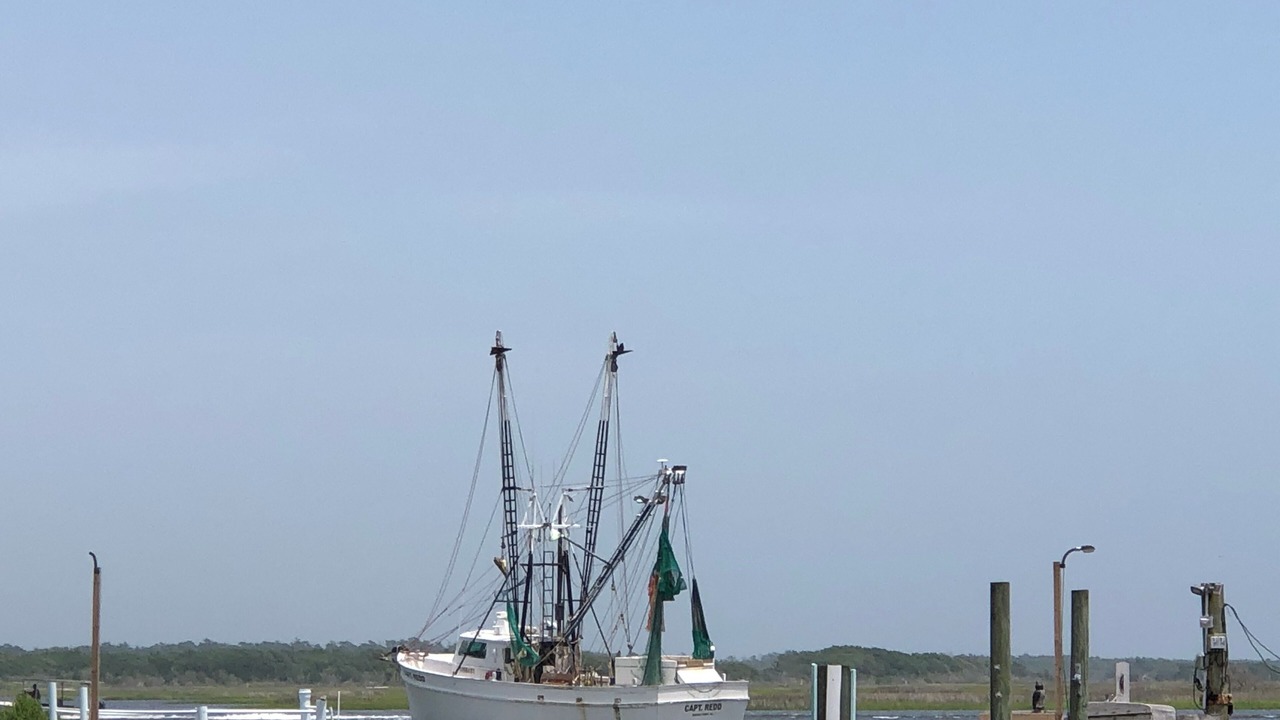 Photo of Others in Sneads Ferry