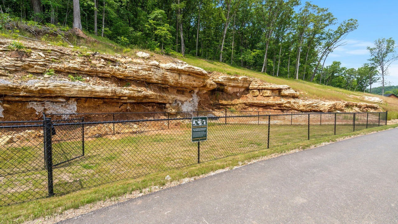 Photo of Others in Branson