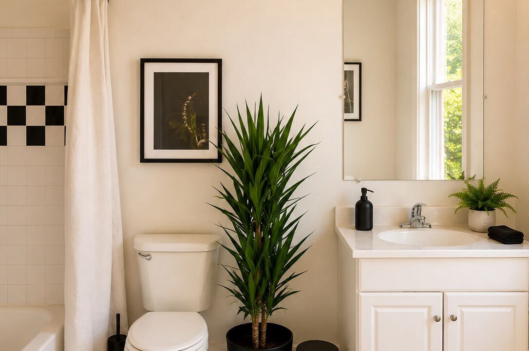 Photo of Bathroom in New Pathways