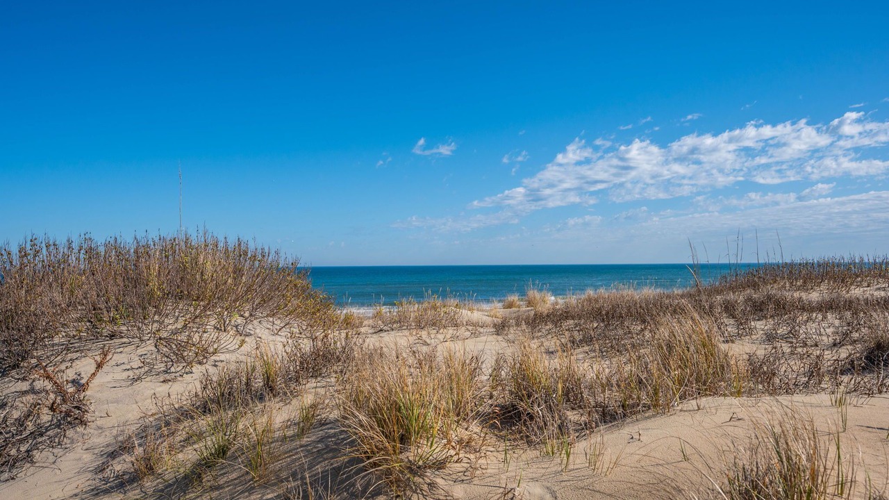 Photo of Others in South Nags Head