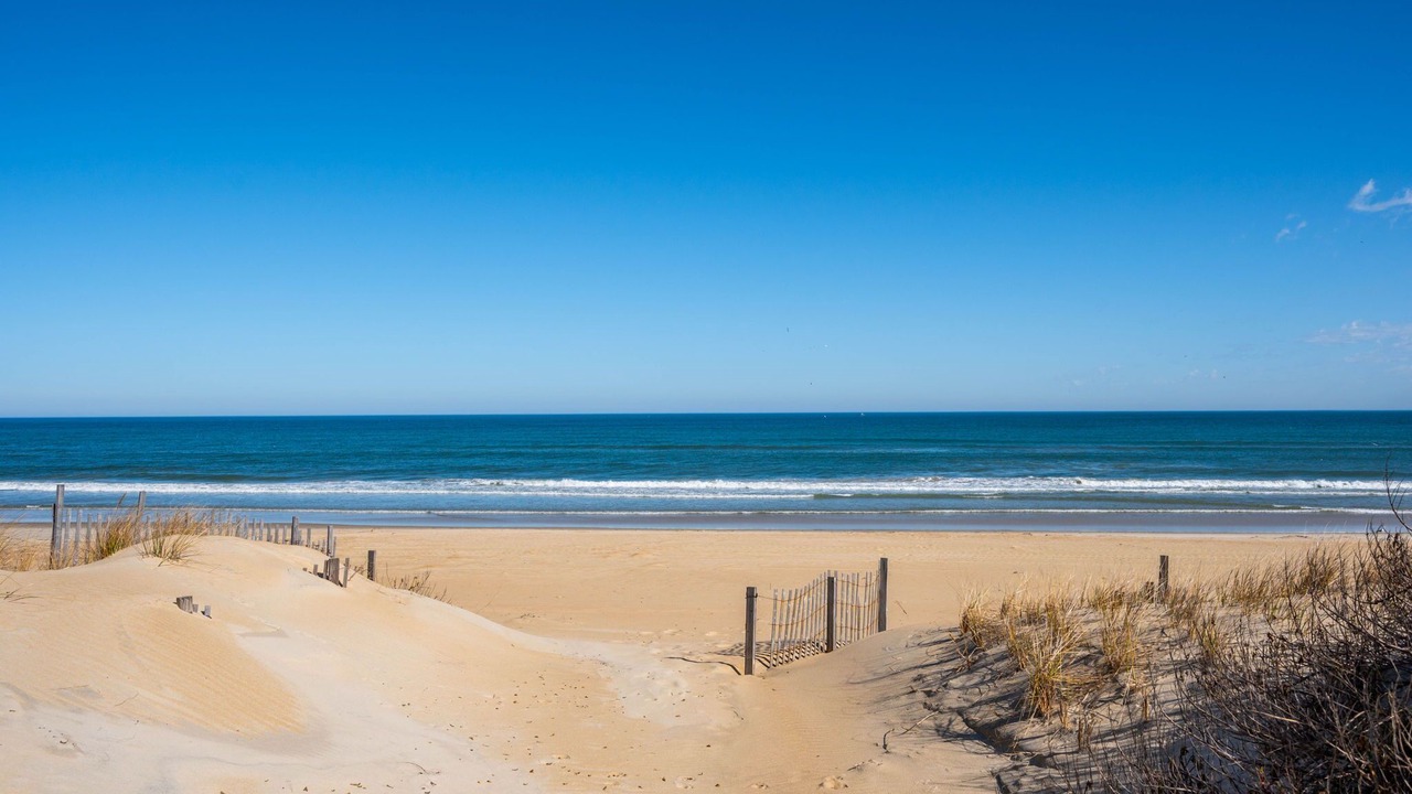 Photo of Others in South Nags Head
