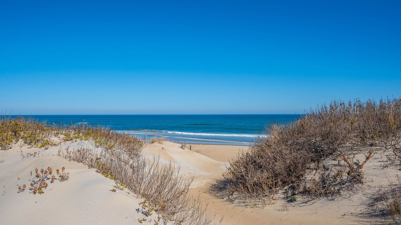 Photo of Others in South Nags Head