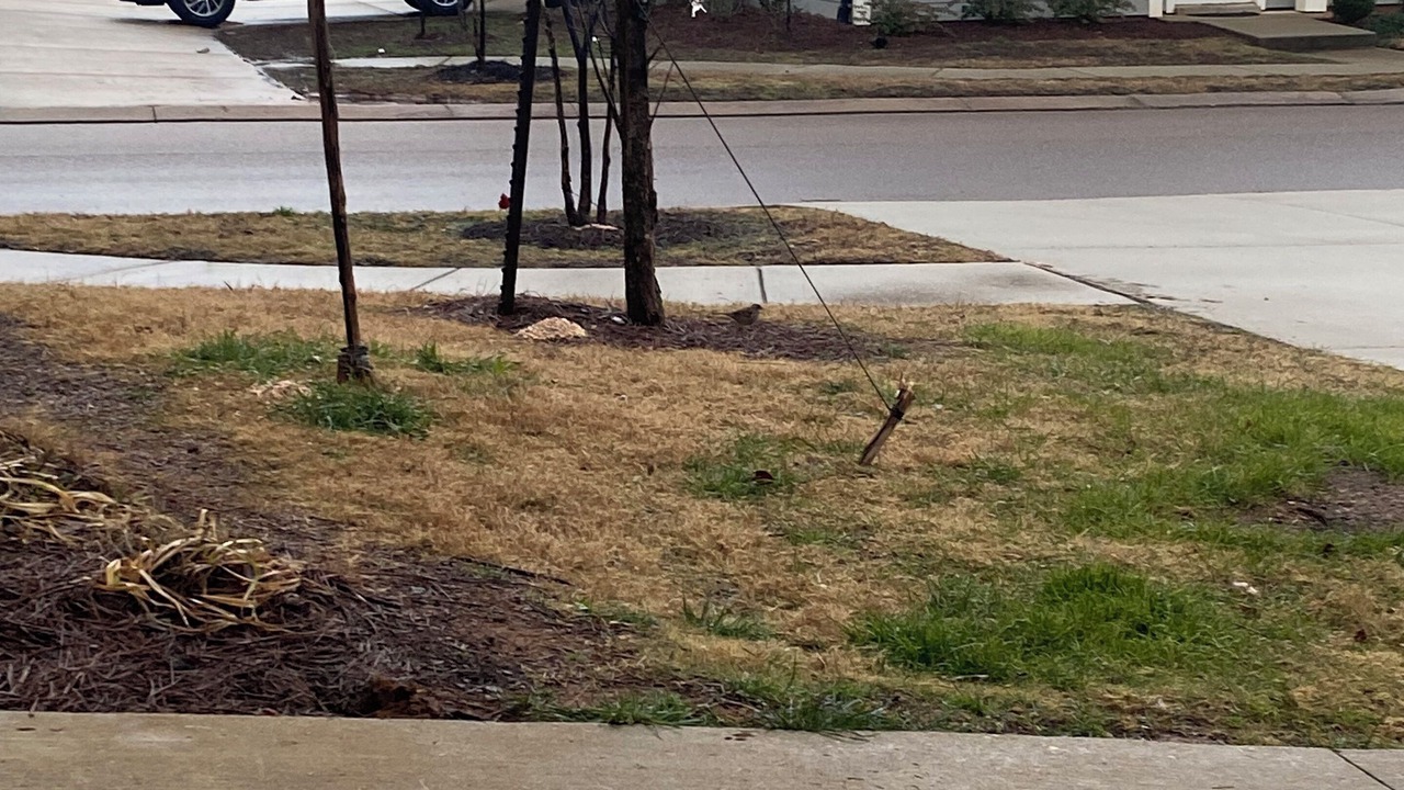 Photo of Outdoor in Pontotoc