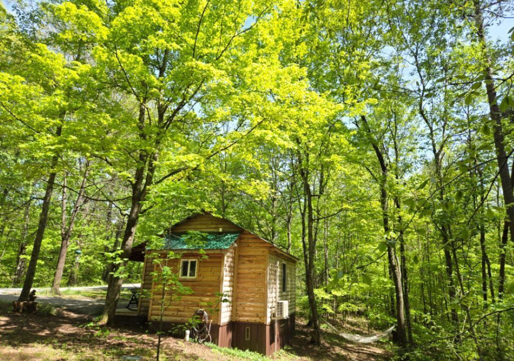 Photo of Outdoor in Pittsburg