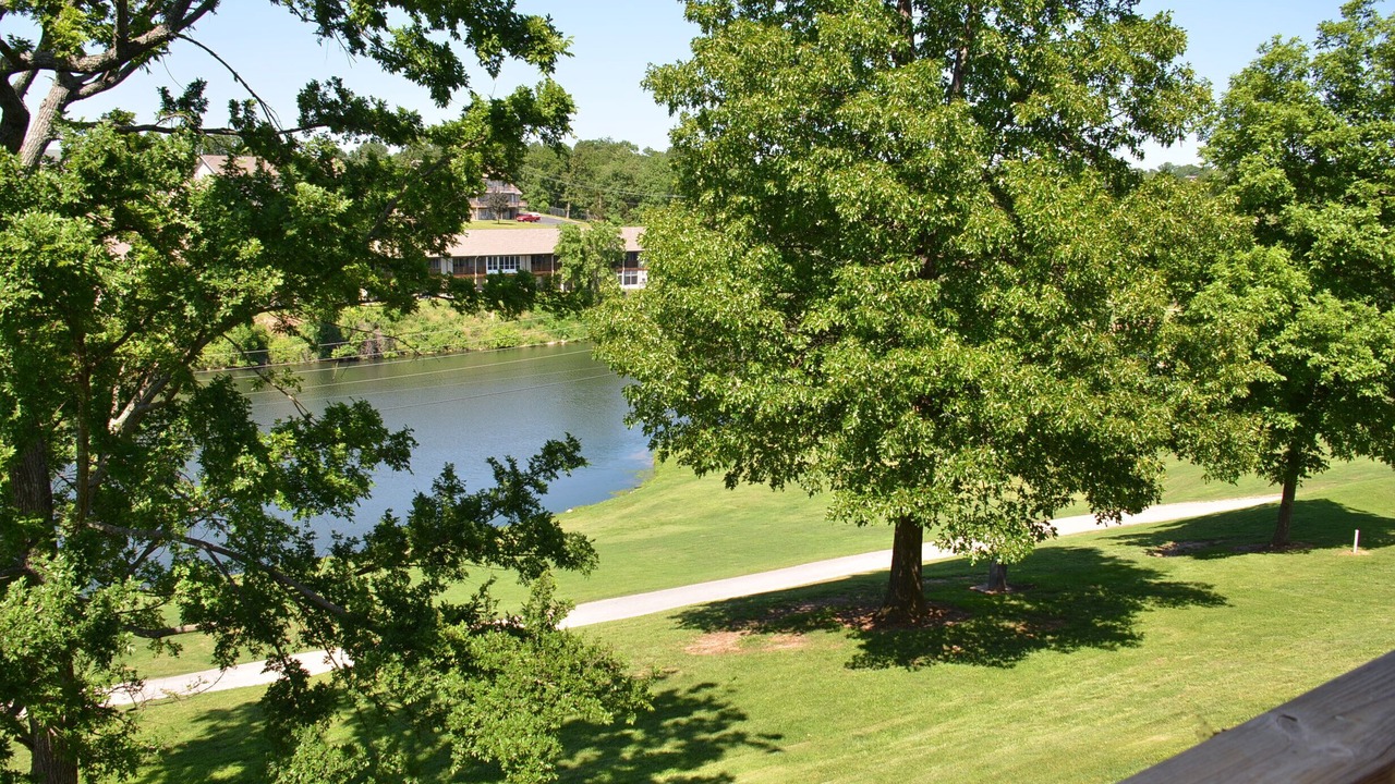 Photo of Others in Table Rock