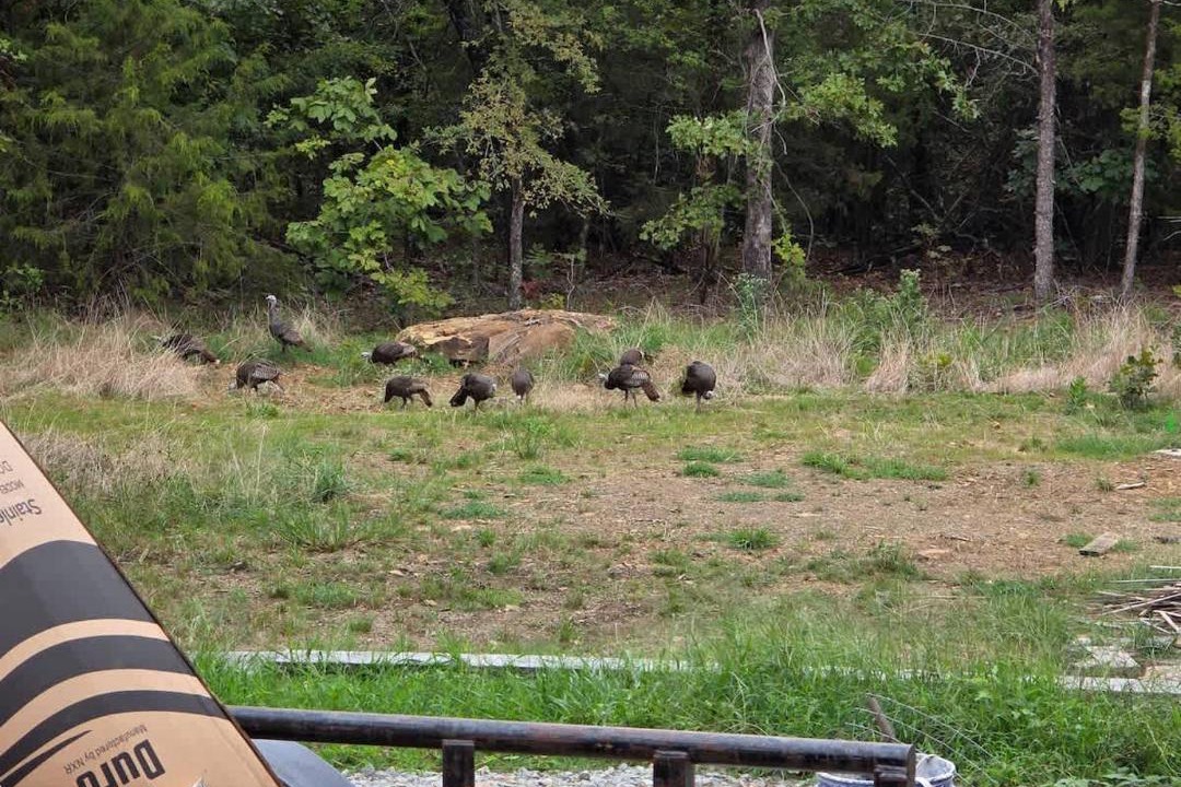 Photo of Others in Eufaula