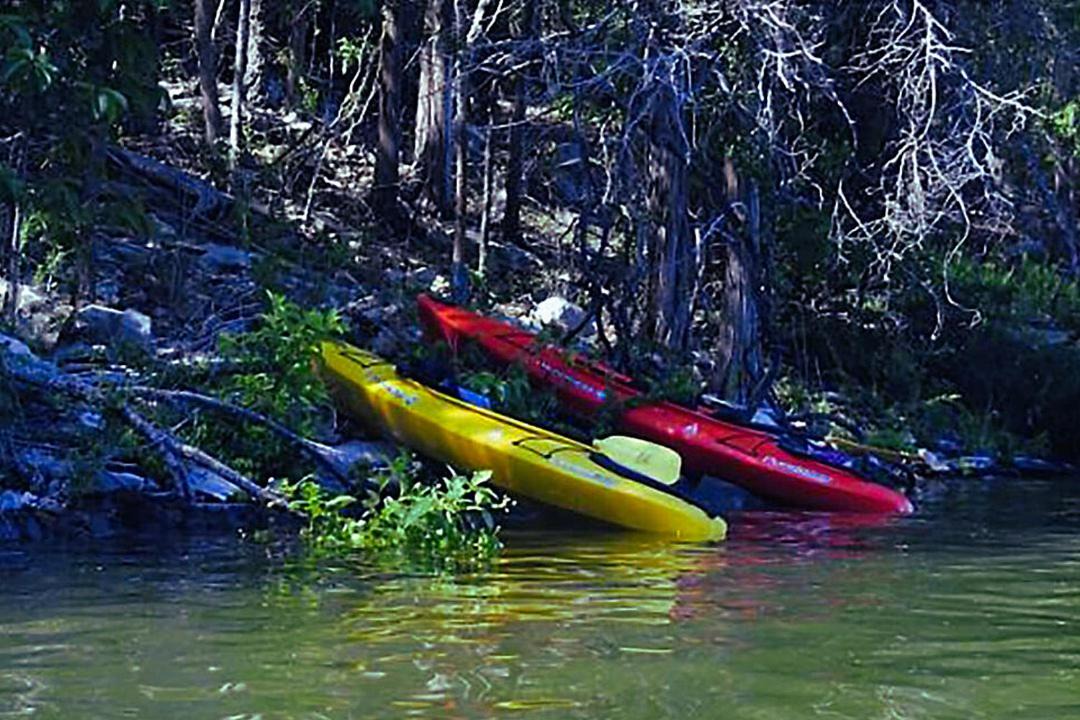 Photo of Others in Shell Knob