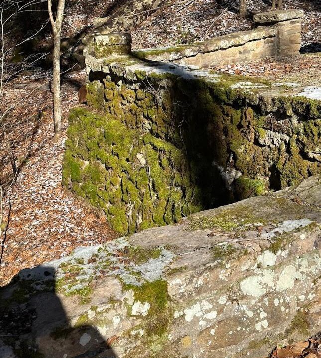 Photo of Others in Fourmile