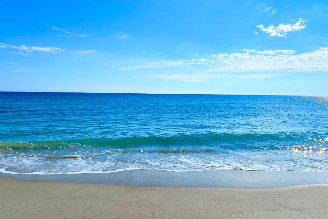 Photo of Others in Atlantic Beach