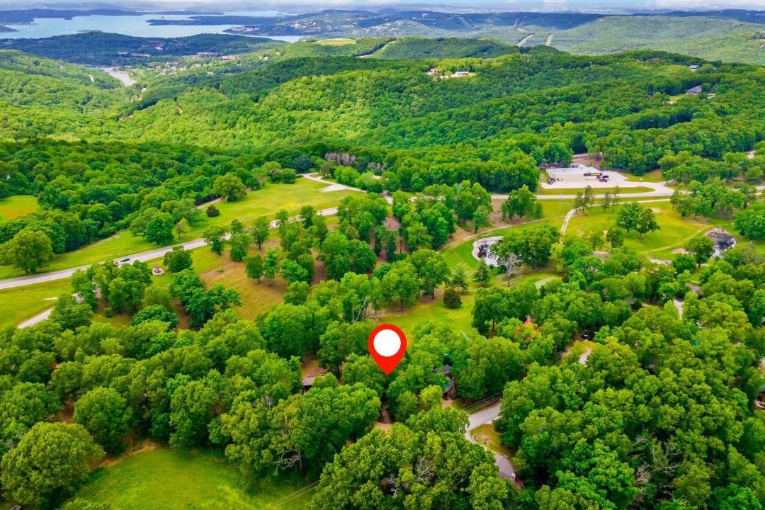 Photo of Others in Branson Cedars