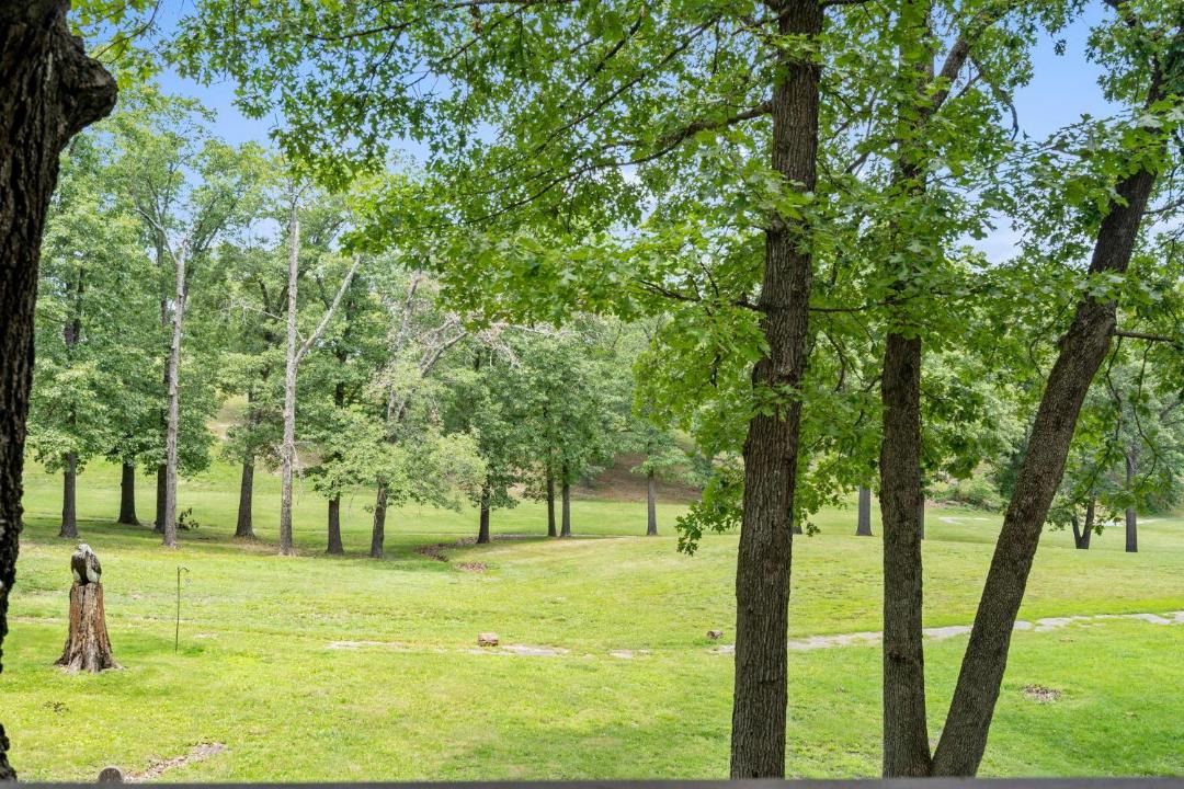 Photo of Others in Branson Cedars