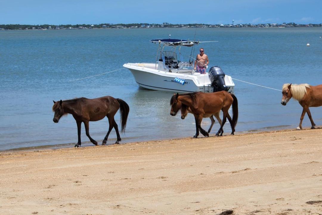 Photo of Others in Atlantic Beach