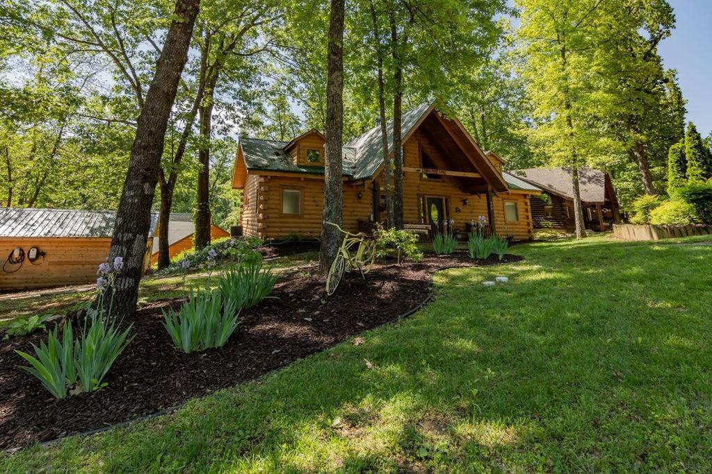 Photo of Others in Branson Cedars