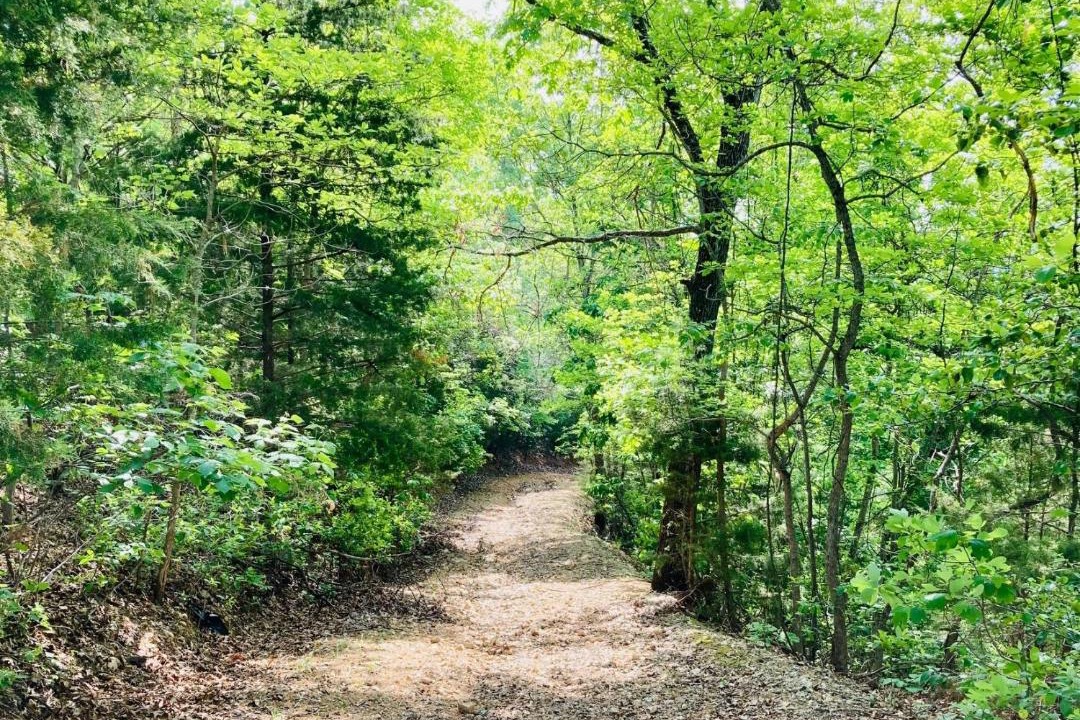 Photo of Outdoor in Notch Estates