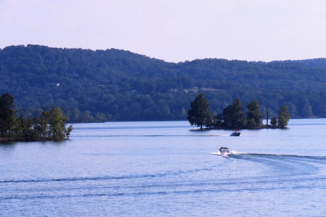 Photo of Others in Table Rock