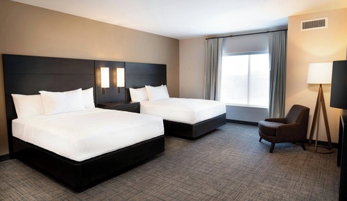 Studio Suite, Multiple Beds