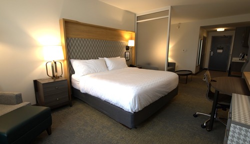 Suite, 1 King Bed with Sofa bed