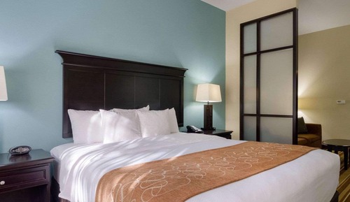 Room, 1 Queen Bed with Sofa bed, Accessible, Non Smoking