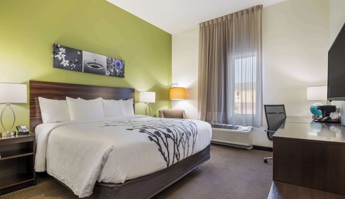 Standard Room, 1 King Bed, Non Smoking