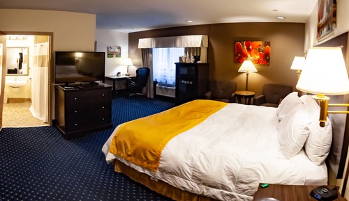 Standard Single Room, 1 King Bed, Accessible, Non Smoking