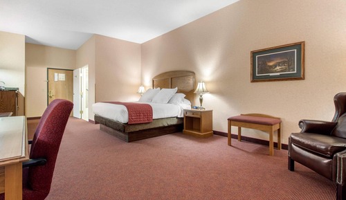 Standard Room, 1 King Bed, Non Smoking