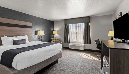 Standard Room, 1 King Bed, Non Smoking, Refrigerator & Microwave