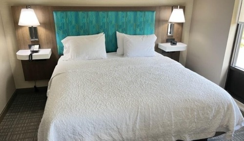 Room, 1 King Bed